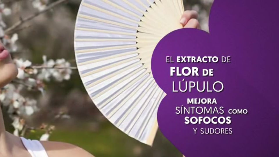FEM PLUS